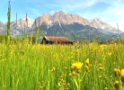 Ferienwohnung Alpenlodge in Grainau