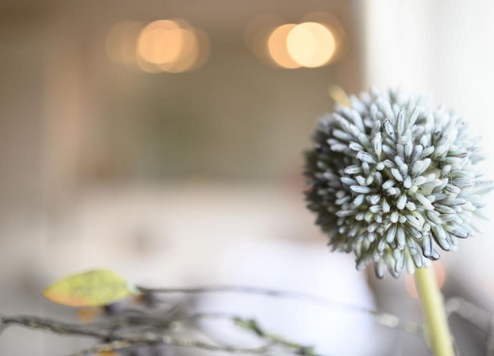 Ferienhaus Windschäufeln in Garmisch-Partenkirchen