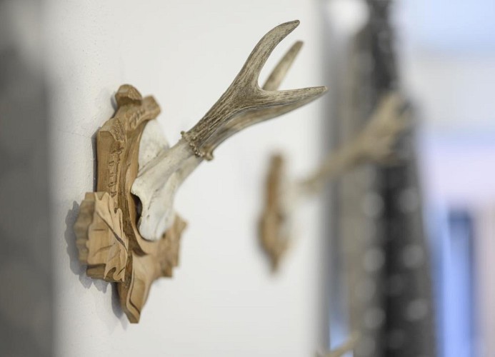 Ferienwohnung Eibsee in Grainau