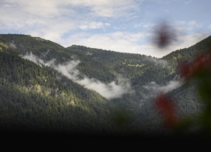 Ferienwohnung Alpenlodge in Grainau