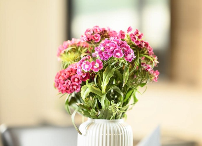 Ferienwohnung Berglounge in Garmisch-Partenkirchen