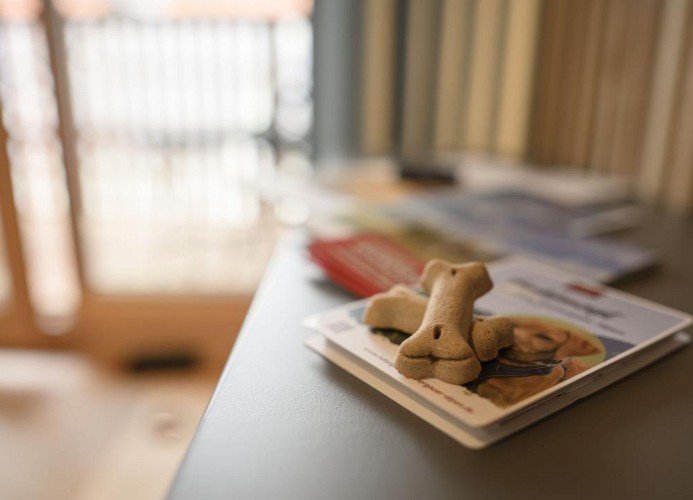 Sternenhimmel - Ferienwohnung Kleiner & großer Bär' in Oberammergau