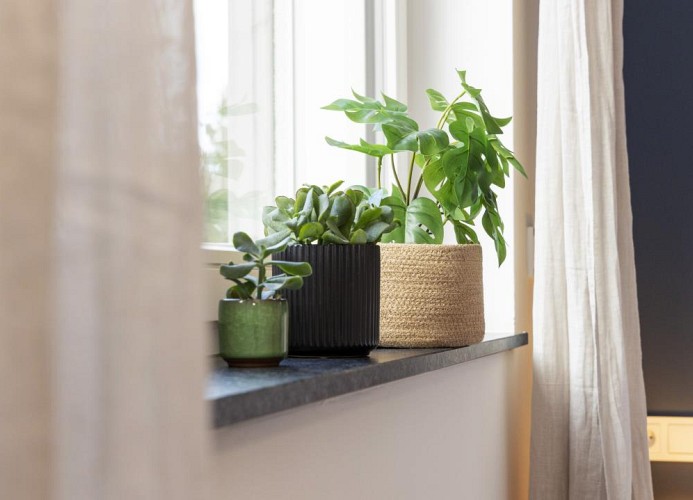 Ferienwohnung Friedenshöhe 2***** in Oberammergau