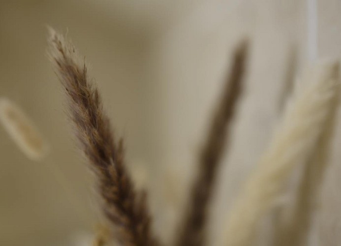 Ferienwohnung Alpenlodge in Grainau