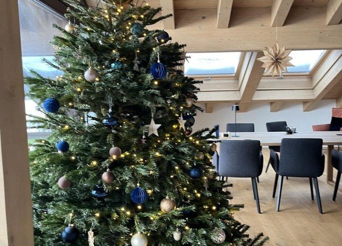 Alpine Loft Marianne in Garmisch-Partenkirchen
