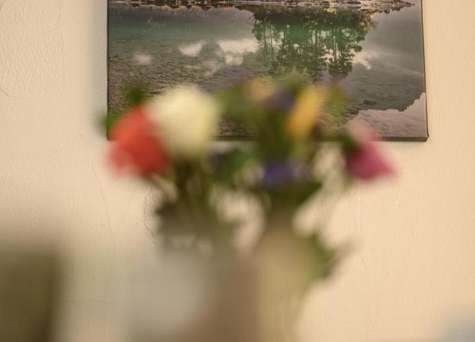 Ferienwohnung Alpenlodge in Grainau